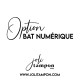 Option BAT numérique