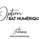 Option BAT numérique