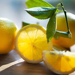 Tampons Citron
